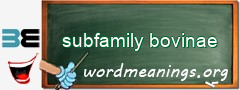 WordMeaning blackboard for subfamily bovinae